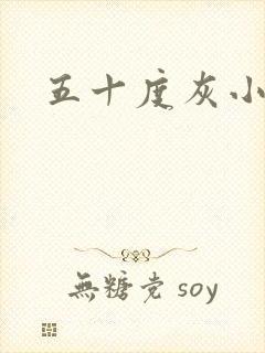 五十度灰小说封面