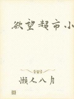 欲望超市小说
