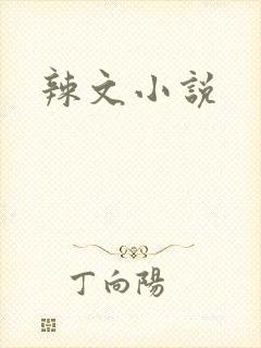 辣文小说
