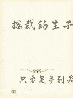 总裁的生子情人