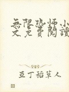 无限恐怖小说全文免费阅读封面