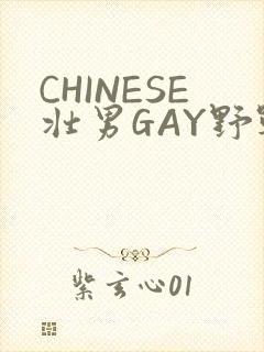 CHINESE壮男GAY野战强迫TUBE封面