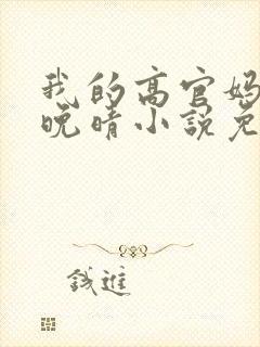 我的高官妈妈苏晚晴小说免费阅读