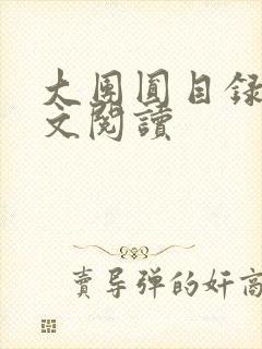 大团圆目录及全文阅读封面