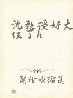 沈教授好大含不住了h