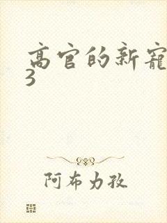 高官的新宠1V3封面