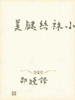 美腿丝袜小说封面