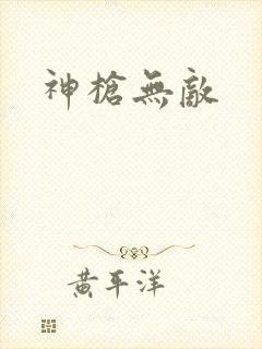 神枪无敌封面