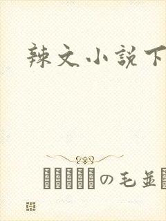 辣文小说下载