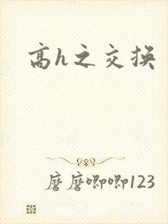 高h之交换封面