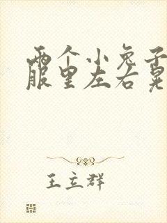 两个小兔子在衣服里左右晃封面