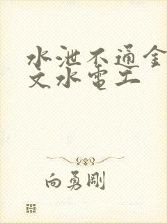 水泄不通金银原文水电工封面