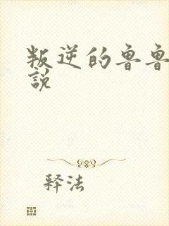 叛逆的鲁鲁修小说封面