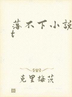 落不下小说txt封面