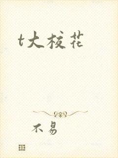 t大校花封面