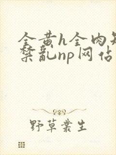 全黄h全肉短篇禁乱np网站