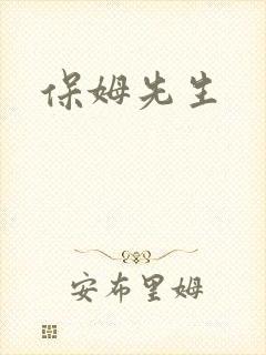 保姆先生封面