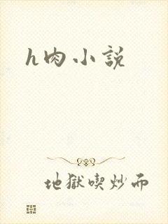 h肉小说