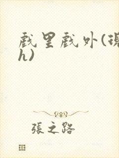 戏里戏外(现场h)