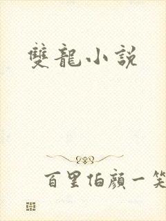 双龙小说