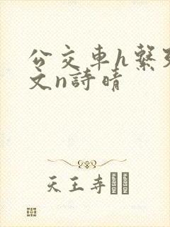 公交车h系列辣文n诗晴