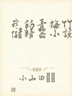 我的青梅竹马是储精器小说封面