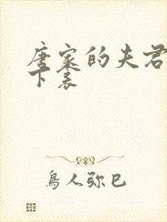 唐家的夫君们帘下衾