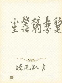 小学校长的幸福生活刘芳是谁