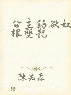 公主的欲奴h四根双龙