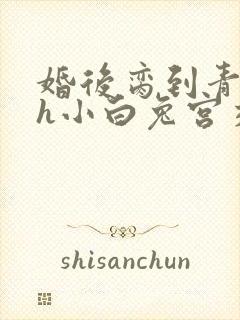 婚后脔到青梅哭h小白兔宫交h