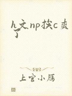 h文np挨c爽了