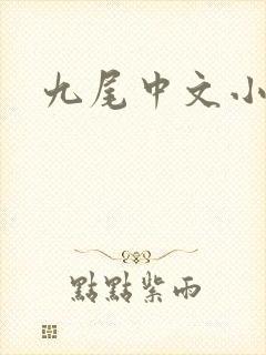 九尾中文小说网