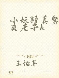 小妖精真紧h嘶爽老子h封面