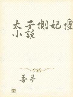 太子侧妃傻乎乎小说