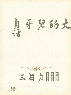 月牙儿的大学生活封面