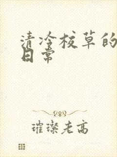 清冷校草的抹布日常