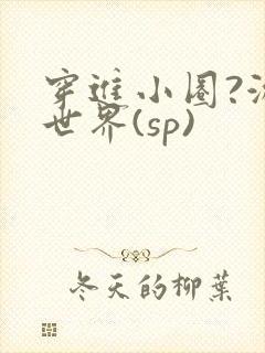 穿进小圈?游戏世界(sp)封面