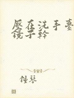 压在洗手台看着镜子干