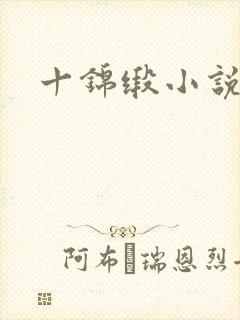 十锦缎小说
