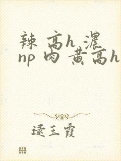 辣 高h 浓 np 肉 黄高h封面