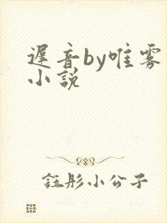 迟音by唯雾的小说