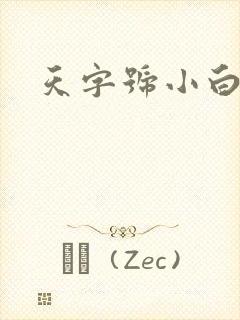 天字号小白脸封面