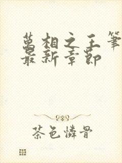 万相之王笔趣阁最新章节封面