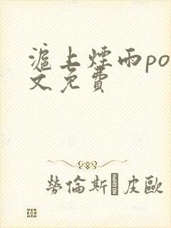 沪上烟雨po全文免费封面