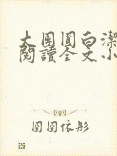 大团圆白洁免费阅读全文小说封面