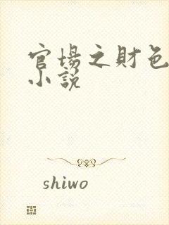 官场之财色诱人小说