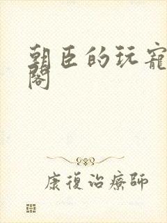 朝臣的玩宠笔趣阁