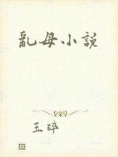 乱母小说