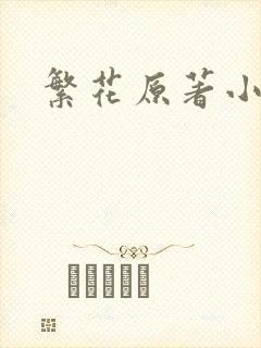繁花原著小说