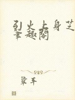 引火上身芝麻糖笔趣阁